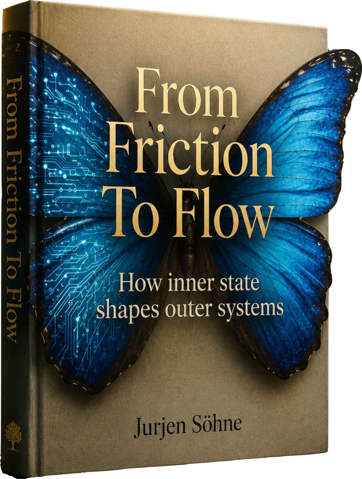 From Friction to Flow — The Founder State Trap by Jurjen Söhne